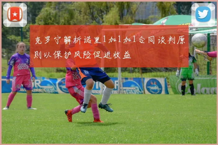 克罗宁解析诺里1加1加1合同谈判原则以保护风险促进收益