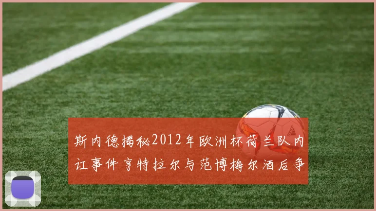 斯内德揭秘2012年欧洲杯荷兰队内讧事件亨特拉尔与范博梅尔酒后争执内幕