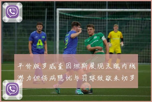 平价版罗威奎因坦斯展现天赋内线潜力但伤病隐忧与罚球致敬米切罗